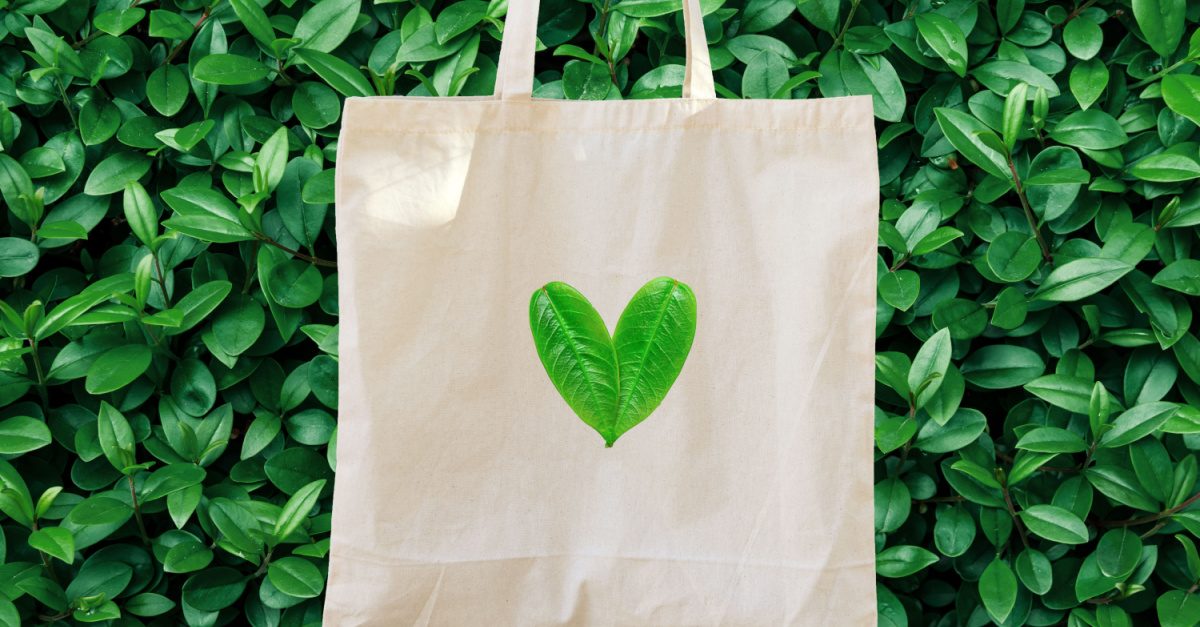 Tote Bags Are Definately A Better Alternative Than Plastic 