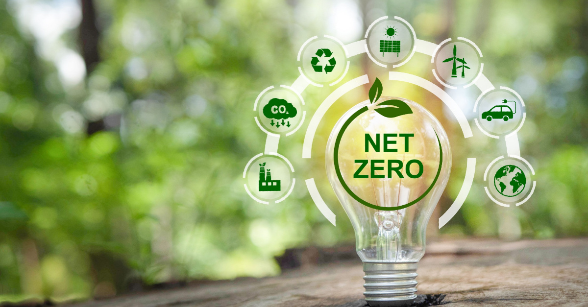 Net Zero: How UK businesses can approach environmental sustainability