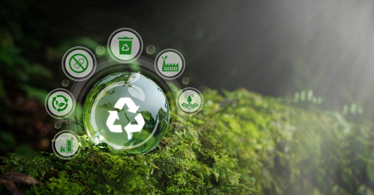 How To Build an Eco-Conscious Supply Chain for Renovations