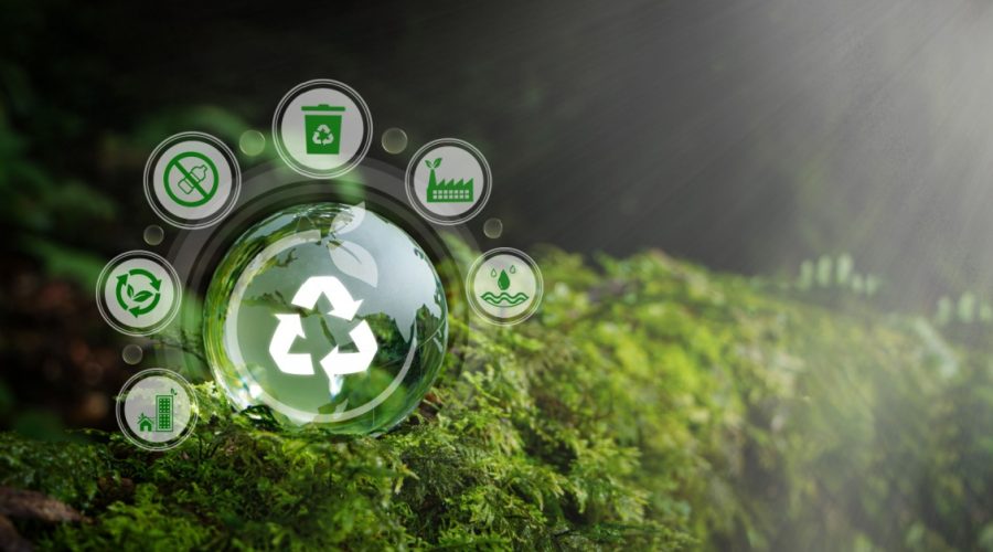 How To Build an Eco-Conscious Supply Chain for Renovations